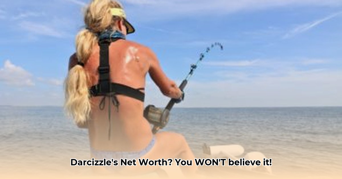 darcizzle-net-worth